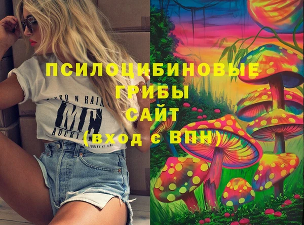 индика Козельск