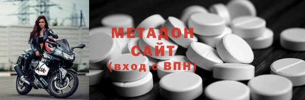 индика Козельск