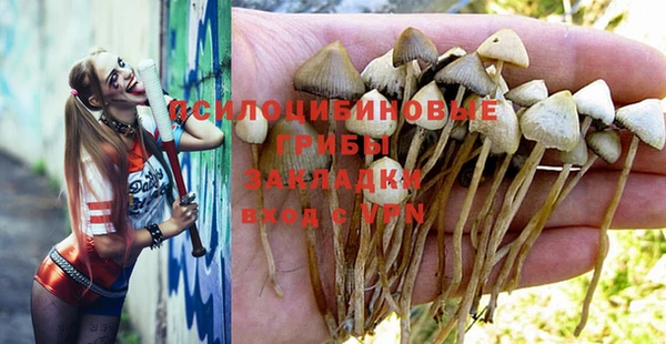 индика Козельск