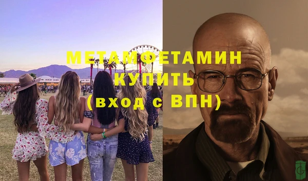 индика Козельск