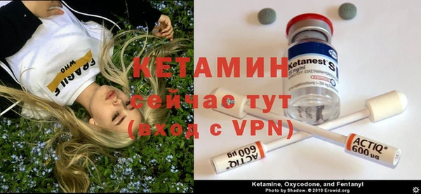 индика Козельск