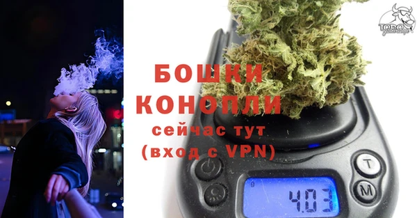 индика Козельск