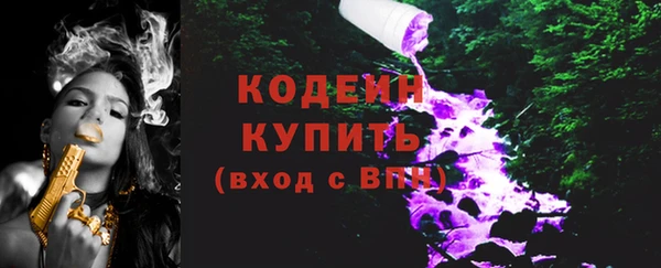 индика Козельск