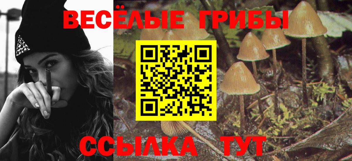 Одинцово  Галлюциногенные грибы ЛСД  Вход с VPN 